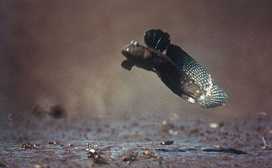 先代社長写真作品 1