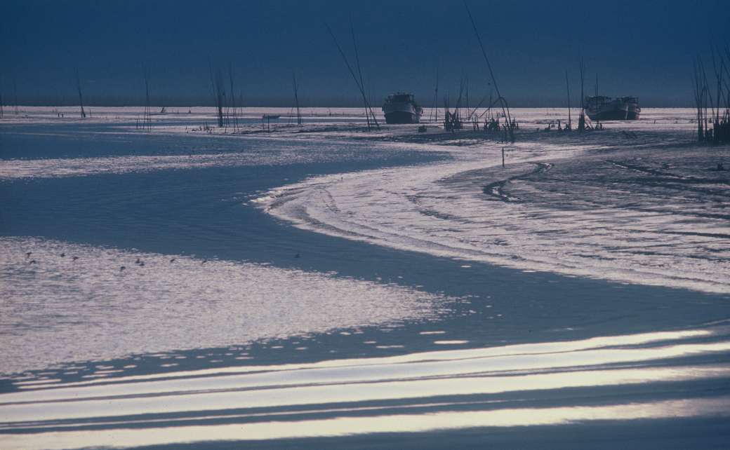 先代社長写真作品 5