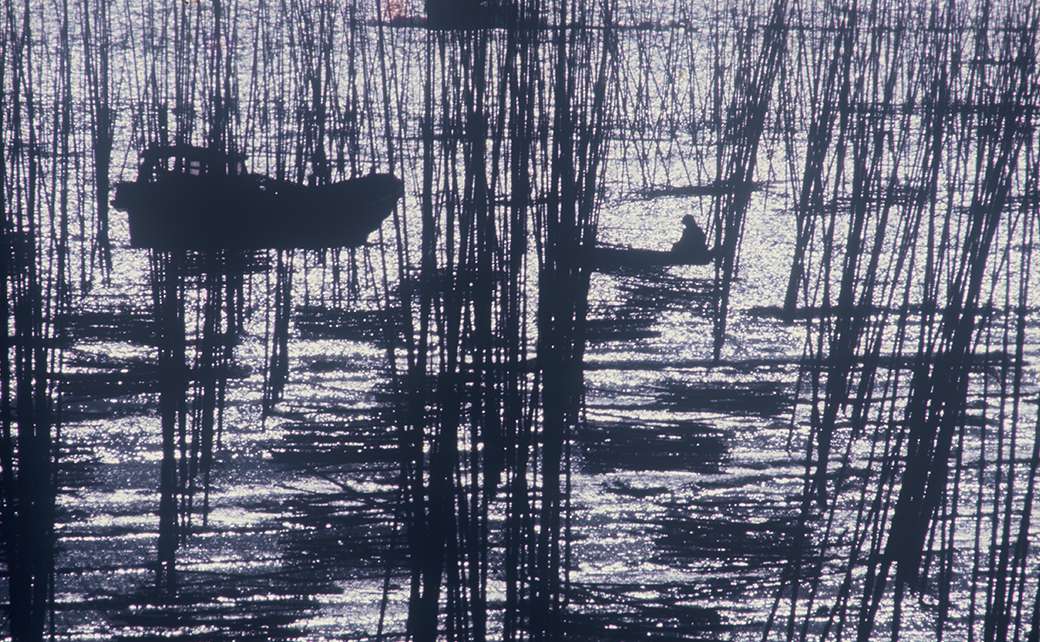 先代社長写真作品 7