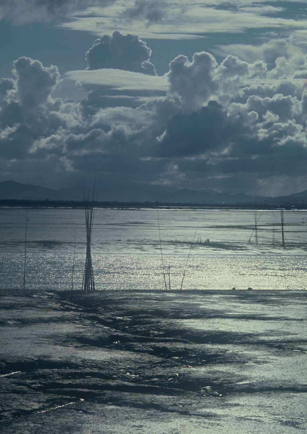 先代社長写真作品 8