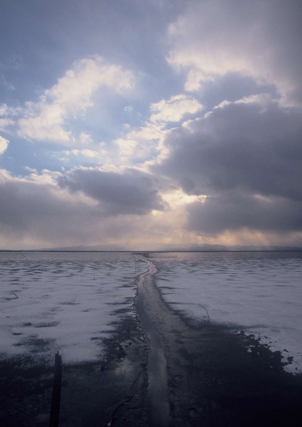 先代社長写真作品 9